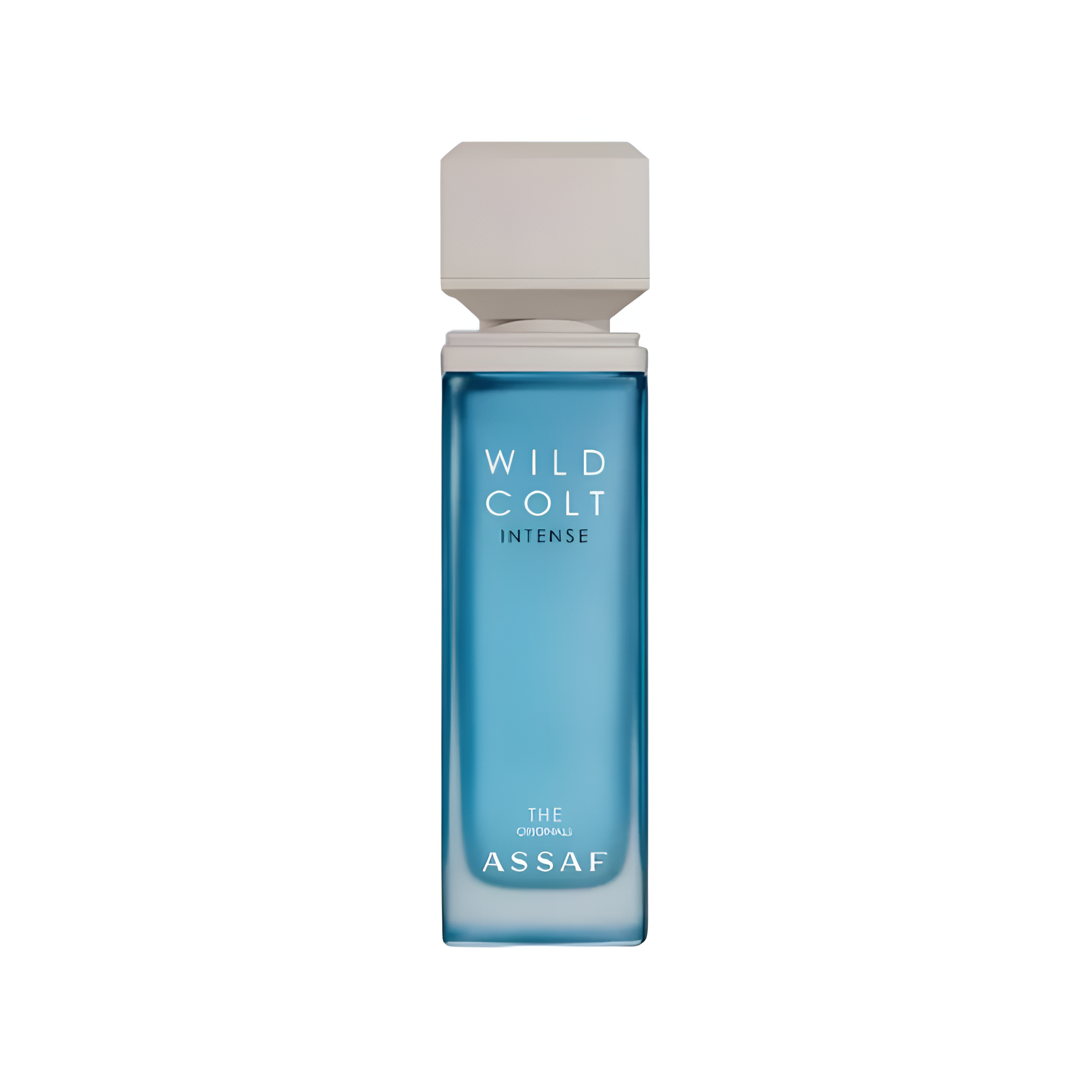 Assaf Wild Colt Intense 100 Ml 100 ml